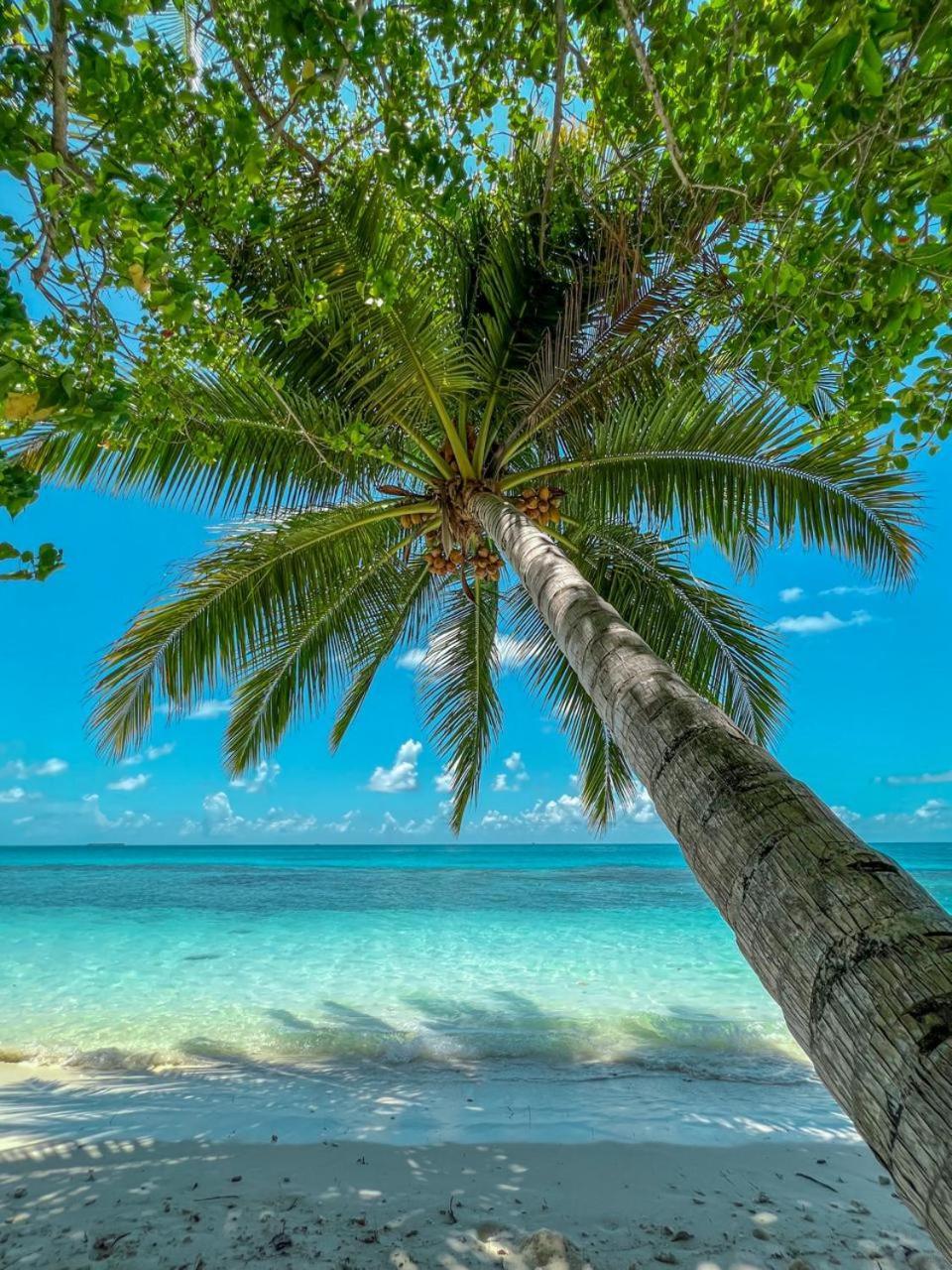 Infinite Lagoon Mandhoo Εξωτερικό φωτογραφία